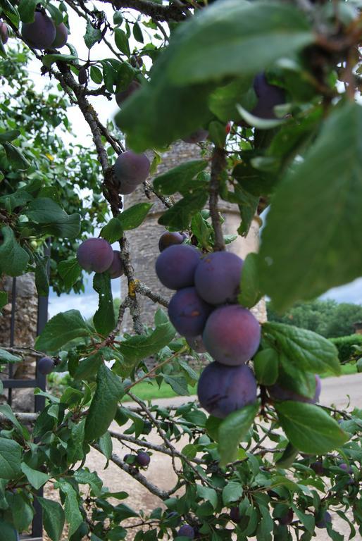 Mas De Garrigue Bed & Breakfast Calvignac Dış mekan fotoğraf